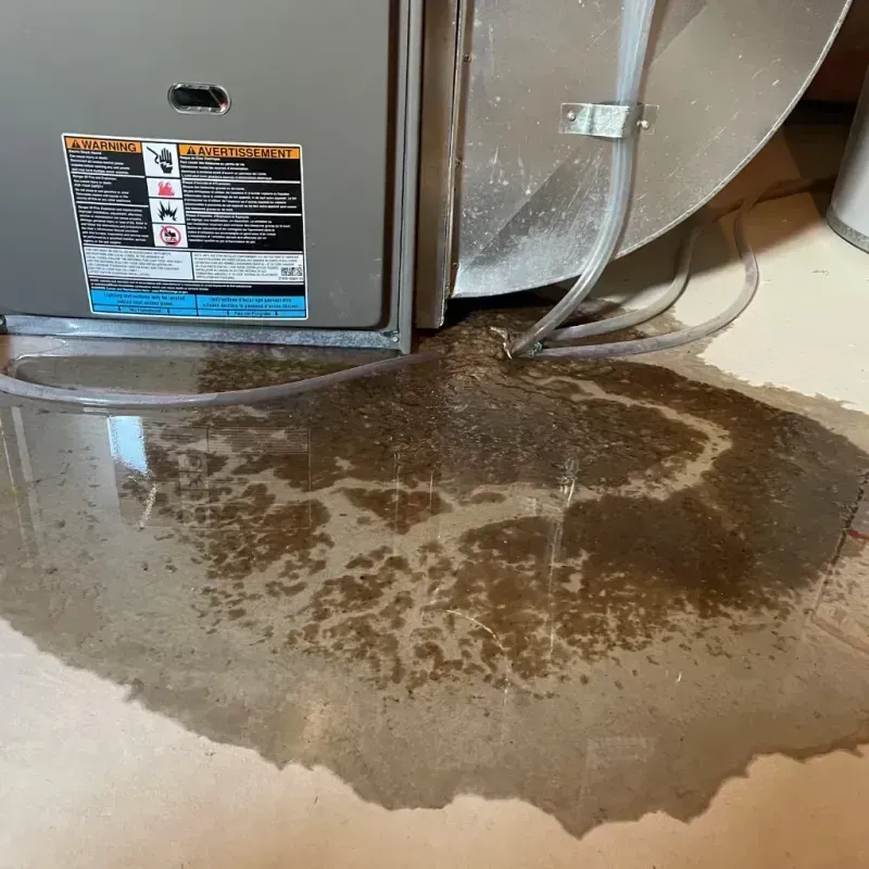 Appliance Leak Cleanup in Andrews, NC